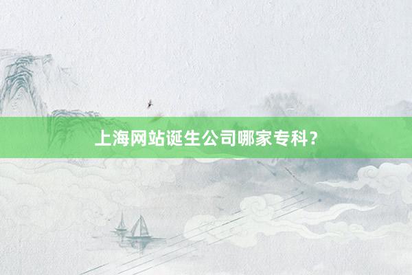 上海网站诞生公司哪家专科？