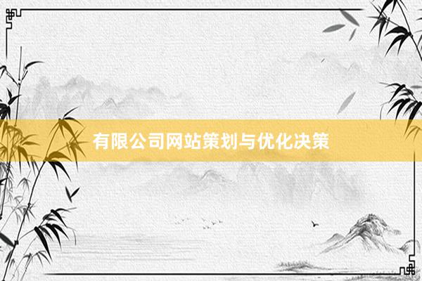 有限公司网站策划与优化决策