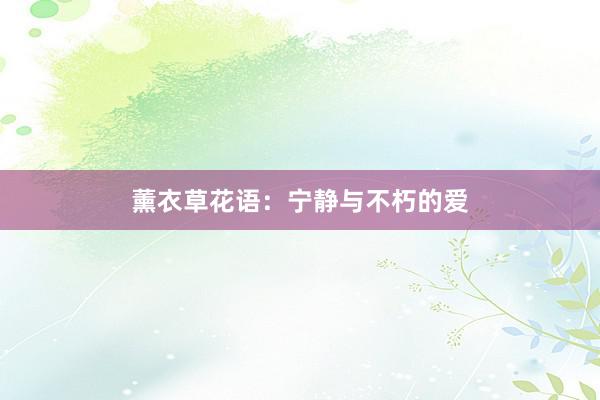薰衣草花语：宁静与不朽的爱