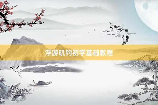 浮游矶钓初学基础教程